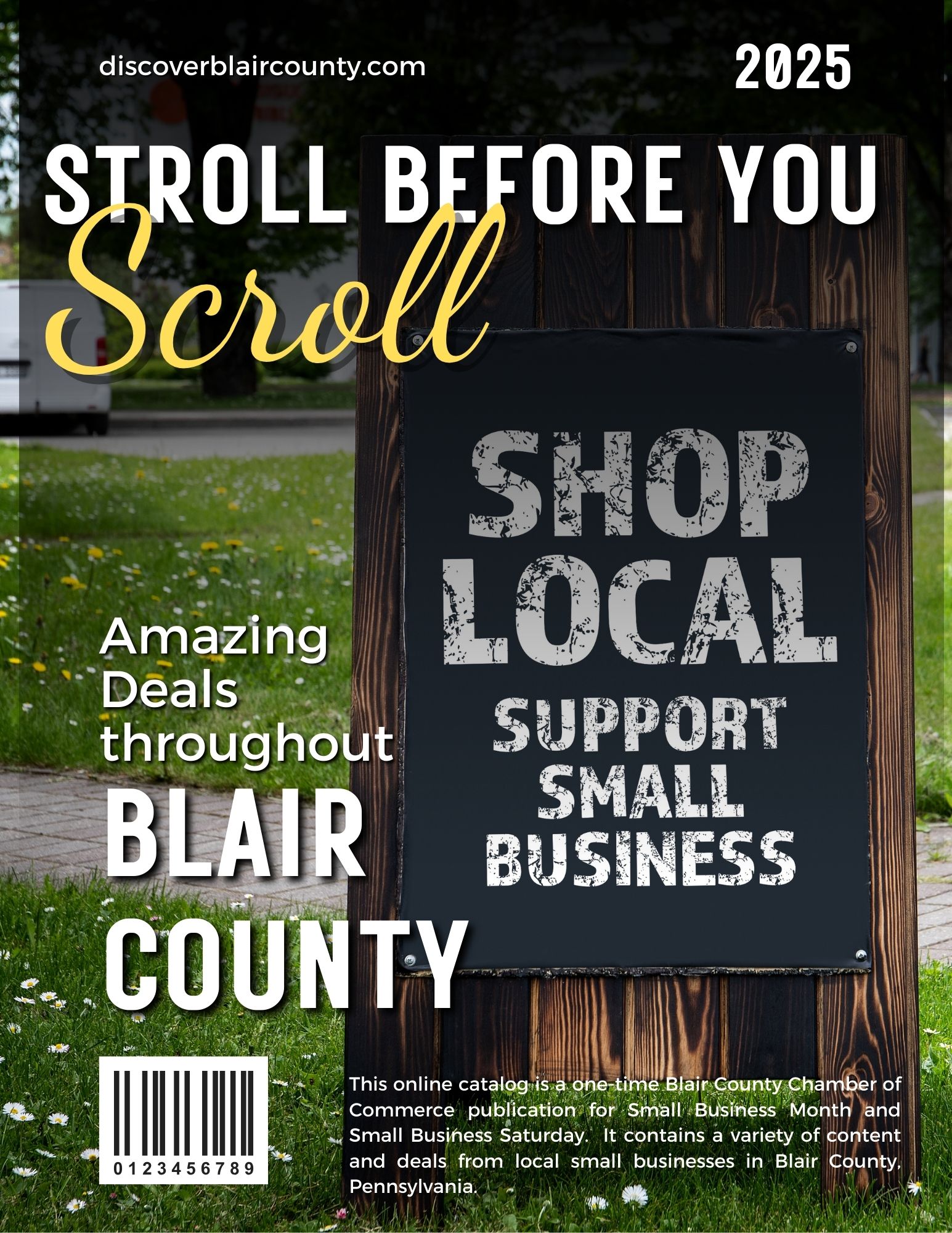 Small Business Saturday Cover